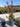 Lagerstroemia Indica Cesp 24 Dynamite E Q - Vivaio Garden Forest (47844346)