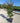 Lagerstroemia Indica Cesp 30 Dynamite - Vivaio Garden Forest (47844348)