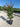 Lagerstroemia Indica Cesp 30 Dynamite - Vivaio Garden Forest (47844348)
