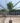 Laurus Nobilis Alb 24 1 2 Fusto - Vivaio Garden Forest (47844355)