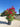 Nerium Oleander (Oleandro) Rosso Jannoch Vaso 50 H.140/160 - Vivaio Garden Forest (50305224)