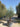 Olea Europaea Alb 110 1 2 Fusto Crf 60 80 Coratina Lt 375 - Vivaio Garden Forest (47844391)