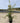 Olea Europaea Cesp 24 Cipressino Lt 7 - Vivaio Garden Forest (47844498)