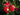 Oleandro Rosso Jannoch - fiori - Vivaio Garden Forest (50305225)