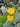 Opuntia Indica (Fico D'india) Senza Spine Vaso 24 - fioritura - Vivaio Garden Forest (48048325)