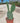 Opuntia Indica (Fico D'india) Senza Spine Vaso 24 - Vivaio Garden Forest (48048322)