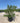 Osmanthus X Burkwoodii Cesp 35 - Vivaio Garden Forest (47844530)
