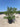 Osmanthus X Burkwoodii Cesp 35 - Vivaio Garden Forest (47844530)