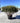 Osmanthus X Burkwoodii Multitronco 80 - Vivaio Garden Forest (47844533)