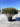 Osmanthus X Burkwoodii Multitronco 80 - Vivaio Garden Forest (47844533)