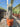 Pachycereus Pringlei (Cactus Gigante Messicano) Vaso 25 - Vivaio Garden Forest (48048327)