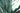 Agave Angustifolia Vaso 60 Classic - Vivaio Garden Forest