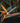 Strelitzia Nicolai Vaso 24 (3p) - Vivaio Garden Forest (47844649)