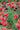 Bulbi di Tulipano Greigii Mix Colori - Vivaio Garden Forest