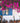 Bougainvillea Sanderiana Spall.55 (l.100 - H.200) - Vivaio Garden Forest (47844242)