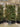 Photinia Fraseri Spall 45 Red Robin L 80 H 120 - Vivaio Garden Forest (47844587)