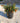 Punica Granatum Nanum Cesp 24 - Vivaio Garden Forest (47844614)