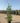 Quercus Ilex Cesp 40 Lt 25 - Vivaio Garden Forest (47844632)