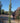 Rhyncospermum Jasminoides (Falso Gelsomino) 1 Canna Vaso 30 H.300/350 - Vivaio Garden Forest (50305236)