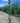 Rosa Ramp Vaso 24 H 210 Pierre De Ronsard - Vivaio Garden Forest (47844641)