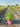 Salvia Roemeriana Rosa Vaso 18 - Vivaio Garden Forest (48048400)