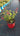 Salvia Roemeriana Rosso Vaso 18 - Vivaio Garden Forest (48048402)