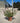 Salvia Roemeriana Rosso Vaso 24 - Vivaio Garden Forest (48048405)