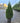 Thuja Occidentalis Smaragd Vaso 30 - Vivaio Garden Forest (47844673)