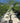 Trachycarpus Fortunei Vaso 40 H Tr 20 30 - Vivaio Garden Forest (47844678)