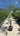 Trachycarpus Fortunei Vaso 40 H Tr 20 30 - Vivaio Garden Forest (47844678)