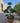 Ulmus Parvifolia Bonsai Ciotola 90 - Vivaio Garden Forest (47844679)