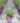 Verbena Bonariensis Vaso 18 - Vivaio Garden Forest (48048417)