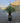 Yucca Rostrata Vaso 45 H Tr 20 30 - Vivaio Garden Forest (47844765)