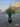 Yucca Rostrata Vaso 45 H Tr 20 30 - Vivaio Garden Forest (47844765)
