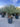 Yucca Rostrata Vaso 50 H Tr 20 30 - Vivaio Garden Forest (47844767)