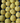 14550097