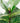 13794584