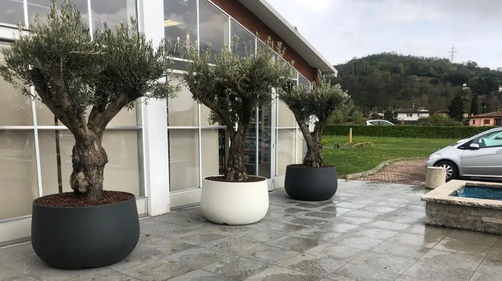 Vaso Urbano Resina ACAYA 110 Bianco Telcom Vivaio Garden Vivaio vaso-urbano-resina-acaya-110-bianco-telcom-vivaio-garden-vivaio