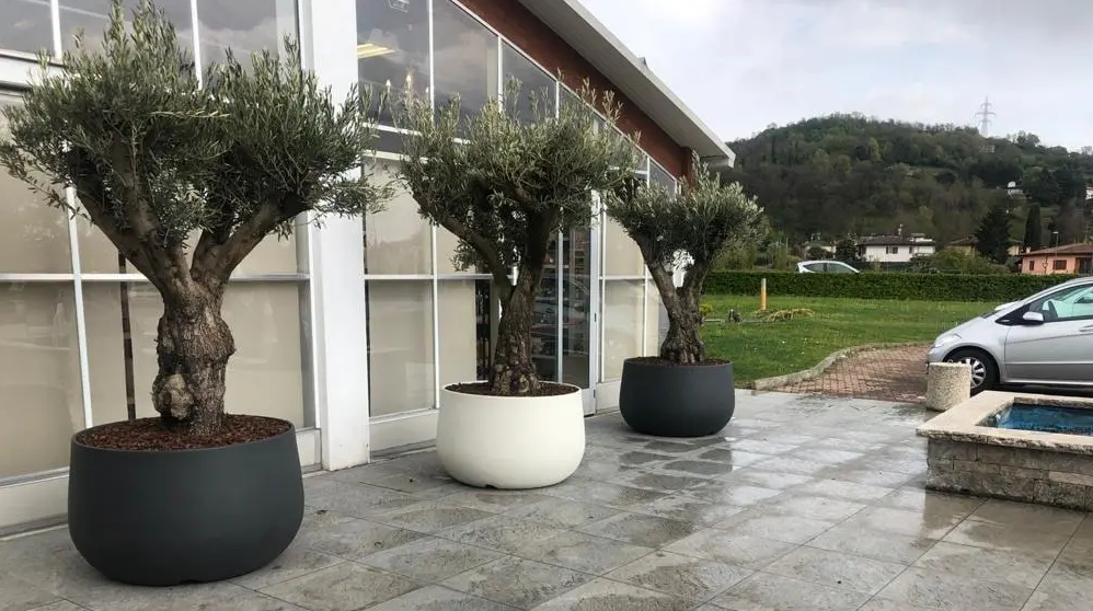 Vaso Urbano ACAYA 110 in Resina per piante di grosse dimensioni bianco –  Vivaio Garden Forest