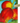 13794300
