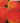 13794542
